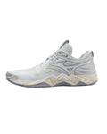 Mizuno Wave Momentum Elite Ancient Water Unisex – Volleyball Shoes